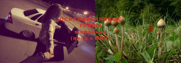 прущая мука Волоколамск